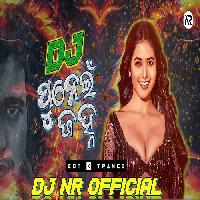 Punei Janha - Odia Dance Mix Dj Song- Dj Suman